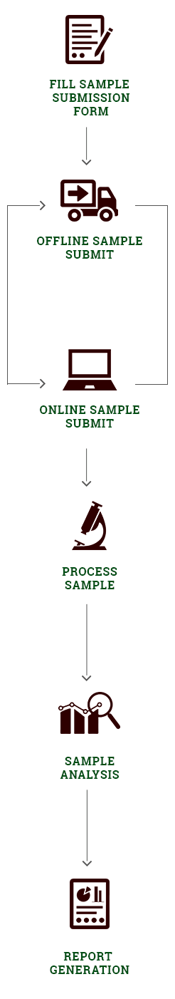 Our Process Diagram