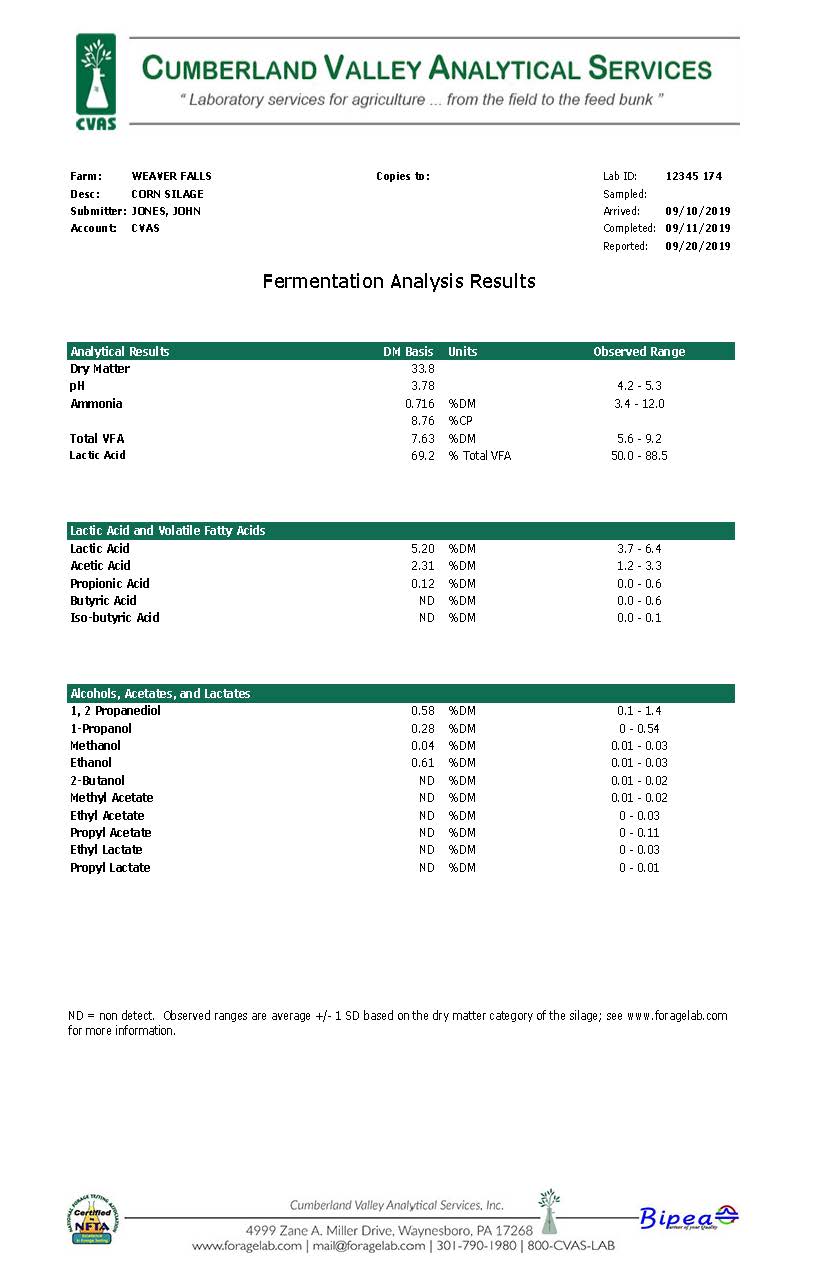 fermentation plus report